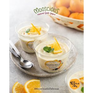 Mooscious Natural Homemade Greek Yogurt Orange Marmalade